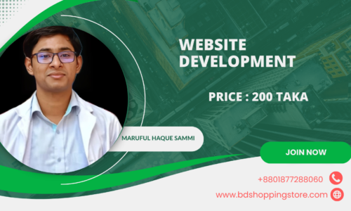 Website development